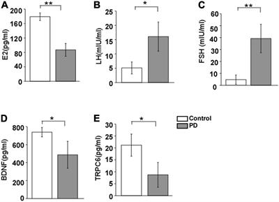 Neuroprotective Effects of Estrogen Through BDNF-Transient Receptor Potential Channels 6 Signaling Pathway in the Hippocampus in a Rat Model of Perimenopausal Depression